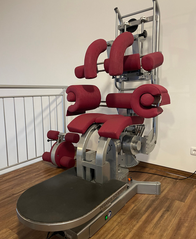 Rückentestgerät Pegasus 3D-System mit rotgepolsterten Halterungen zur Rückendiagnostik