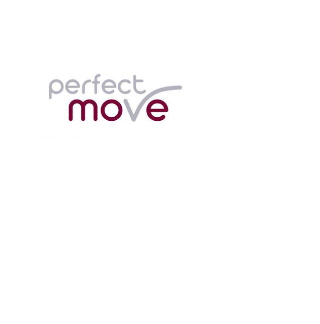 Logo des Onlinekurses Perfect Move