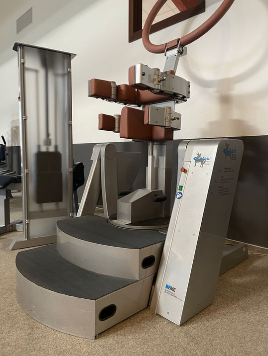 Wandmontierter centaur 3D-Rückentrainer zum Training der autochthonen Rückenmuskulatur